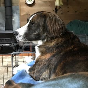 Meet your Posher, Eliza